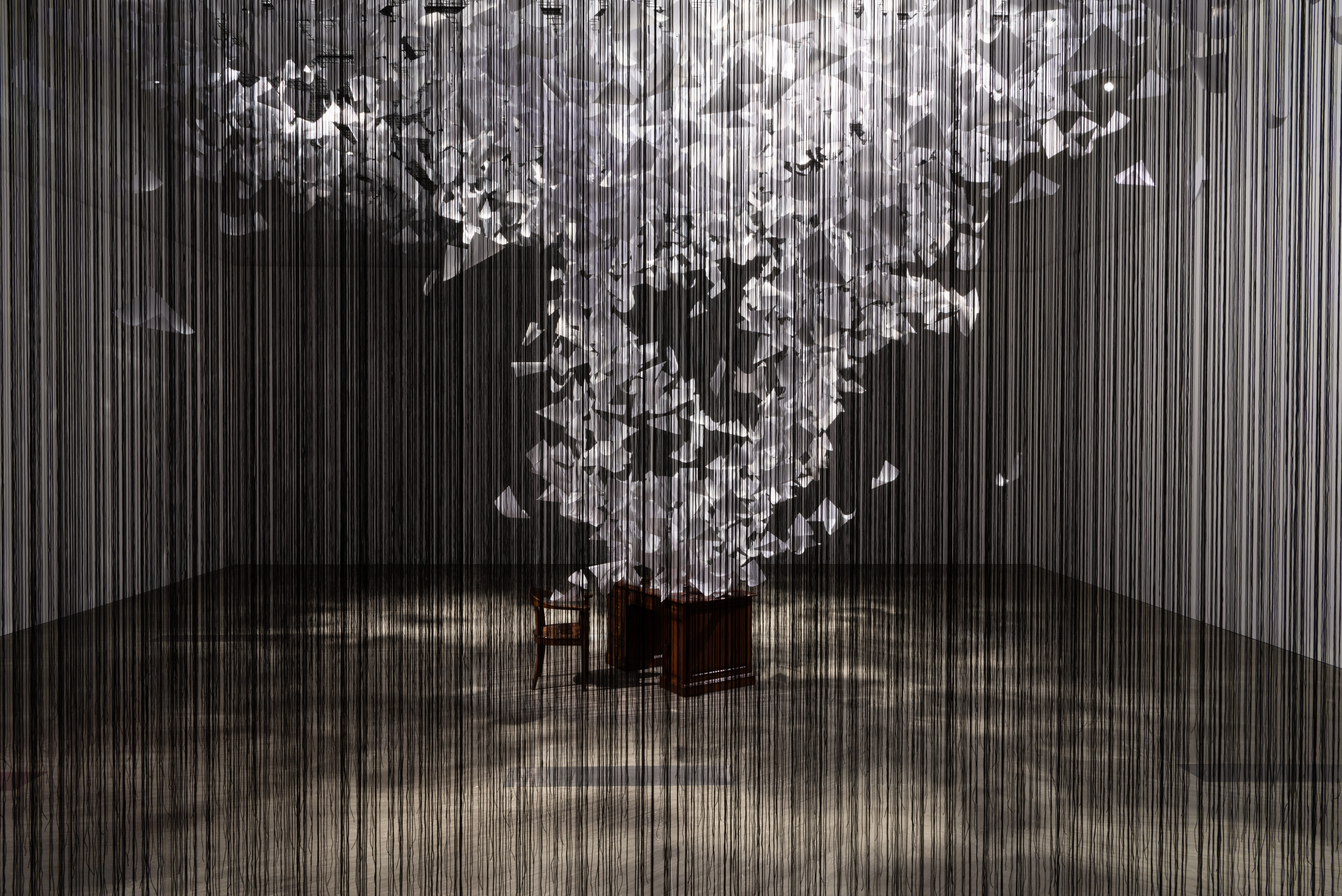 The presence of absence