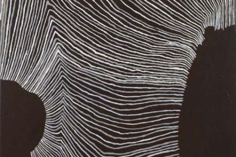 A detail view of a work depicting an abstracted goanna skin