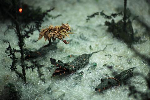 A still from a stop-motion puppetry video