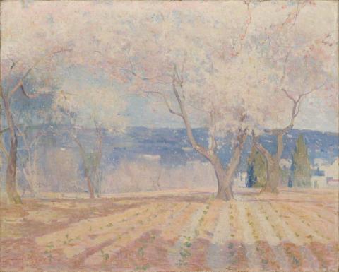 Artwork Fruit trees in blossom, Algiers this artwork made of Oil on canvas, created in 1892-01-01