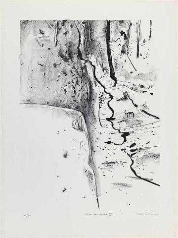 Artwork Wild Dog Creek II (from 'Fred Williams lithographs 1976-1978' portfolio) this artwork made of Lithograph on Arches 270gsm paper, created in 1976-01-01
