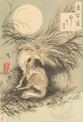 Artwork Musashino no tsuki (Musashi Plain moon) (no. 91 from 'Tsuki hyakushi' (One hundred aspects of the moon) series) this artwork made of Colour woodblock print on paper, created in 1891-01-01