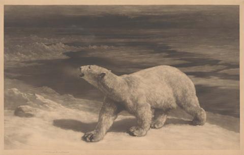 Artwork A polar night this artwork made of Etching on wove paper, created in 1900-01-01