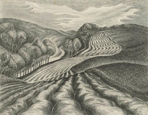 Artwork Ploughed fields this artwork made of Lithograph on wove paper, created in 1931-01-01