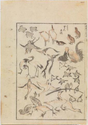 Artwork (Varieties of birds) (from 'Hokusai Manga' Vol. 1) this artwork made of Colour woodblock print on thin cream laid Oriental paper, created in 1814-01-01