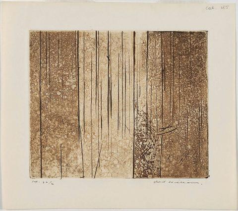 Artwork Echuca landscape this artwork made of Drypoint, engraving and aquatint on wove paper, created in 1961-01-01