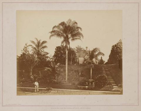 Artwork Cocos plumosa palm, the Curator's cottage, &c., Botanic Gardens (from 'Brisbane illustrated' portfolio) this artwork made of Albumen photograph on paper mounted on card, created in 1874-01-01