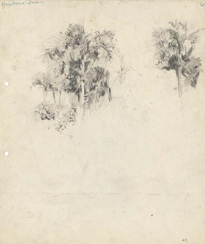 Artwork Palms at Milton this artwork made of Pencil on sketch paper, created in 1915-01-01