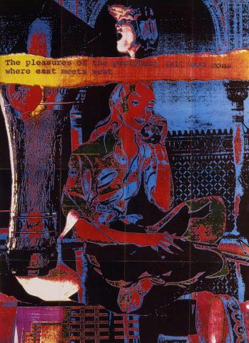 Artwork The pleasures of the periphery this artwork made of Colour photocopy on wove paper, created in 1988-01-01