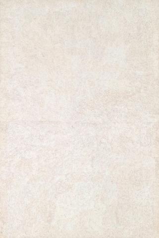 Artwork Wurruku (Sharp-nosed brown shark) this artwork made of Synthetic polymer paint on canvas, created in 2005-01-01