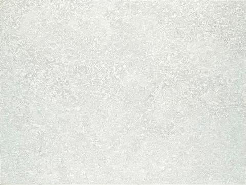 Artwork A line on a canvas this artwork made of Pen and ink on canvas, created in 2004-01-01