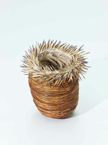 Artwork Spikey one this artwork made of Spinifex, emu feathers, ashes, porcupine (echidna) quills and polymer fixative