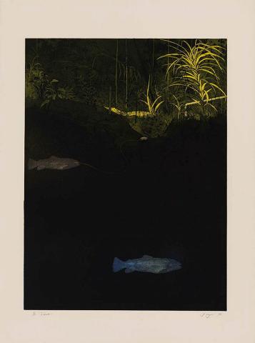 Artwork Trout this artwork made of Colour etching, aquatint, photo-etching, printed relief and intaglio simultaneously on wove paper, created in 1978-01-01