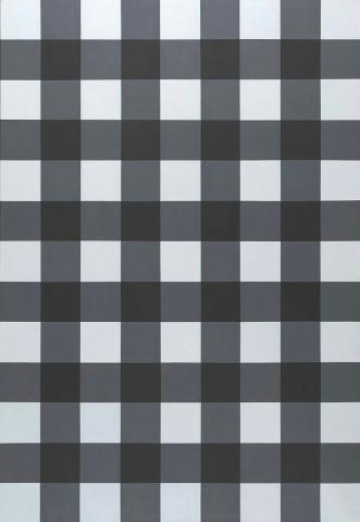 Artwork Gingham (centrifugal) this artwork made of Synthetic polymer paint on canvas, created in 1995-01-01