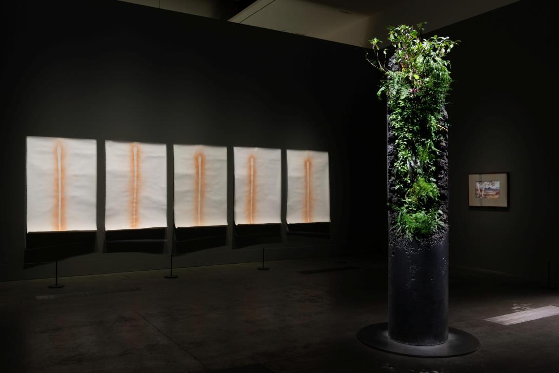 An installation view of a dark gallery space, with live plants growing on a plinth at right and five framed works at left.