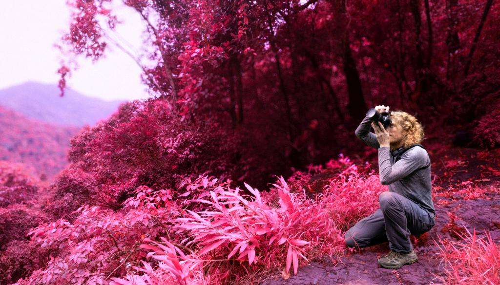 Artist Danie Mellor crouches to focus his camera amongst a tropical landscape, its foliage rendered pink and peach through the use of an infrared filter on the photographer's camera
