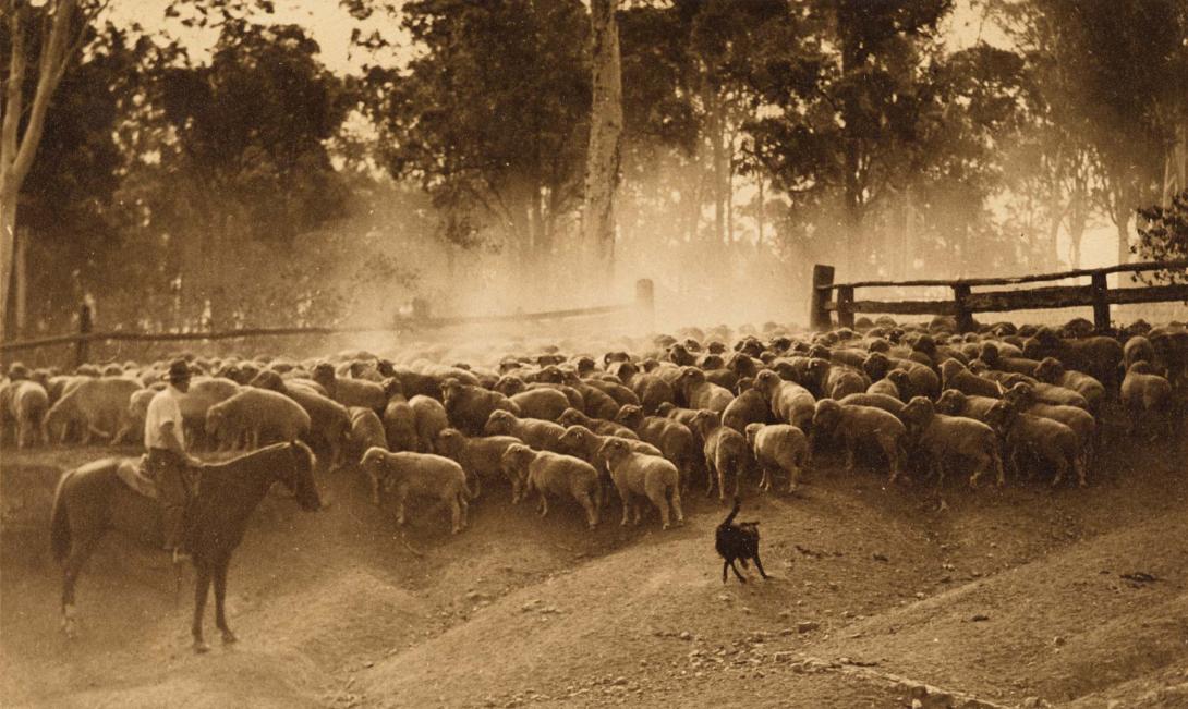 Artwork Mustering this artwork made of Gelatin silver photograph, sepia-toned on paper, created in 1938-01-01