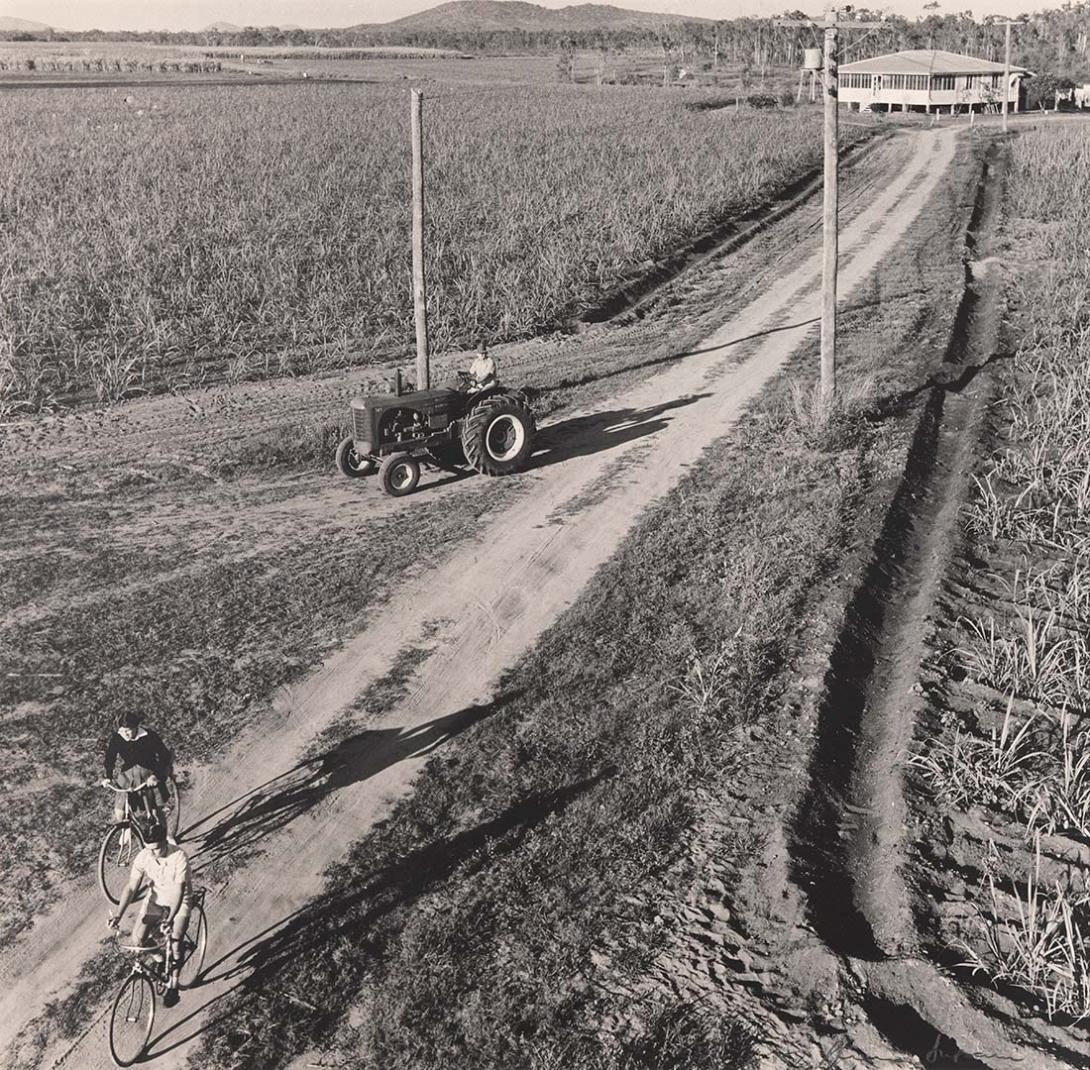 Artwork Pearce children off to school on bikes, Burdekin District, Queensland this artwork made of Gelatin silver photograph on paper, created in 1950-01-01