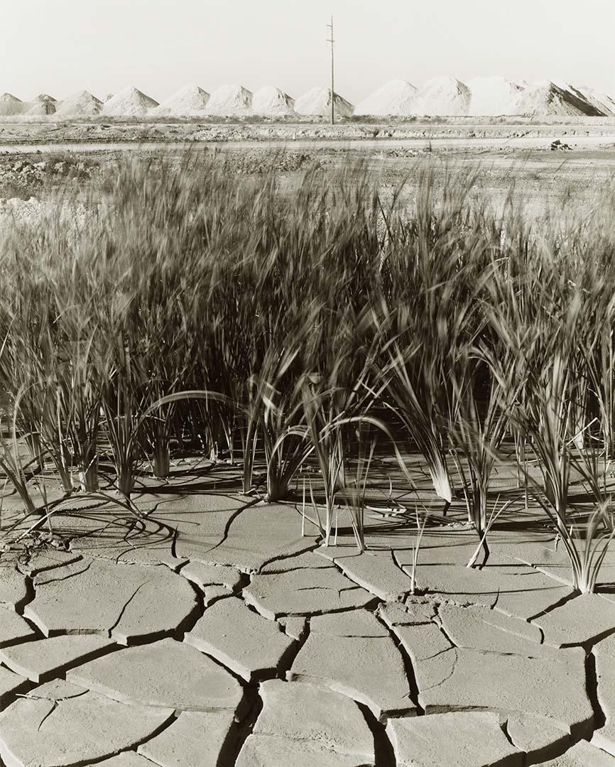 Artwork Riverside mine (from 'Journeys north' portfolio) this artwork made of Gelatin silver photograph on paper, created in 1986-01-01