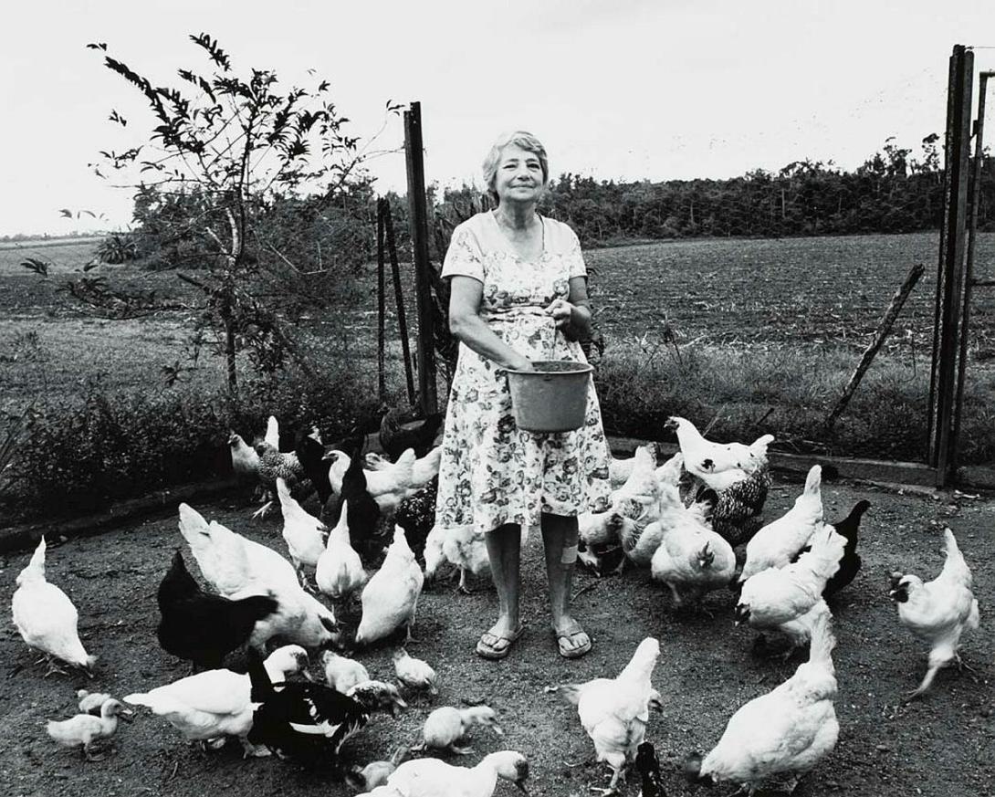 Artwork Mary Accatino, cane farmer, Moresby (from 'Journeys north' portfolio) this artwork made of Gelatin silver photograph on paper, created in 1986-01-01