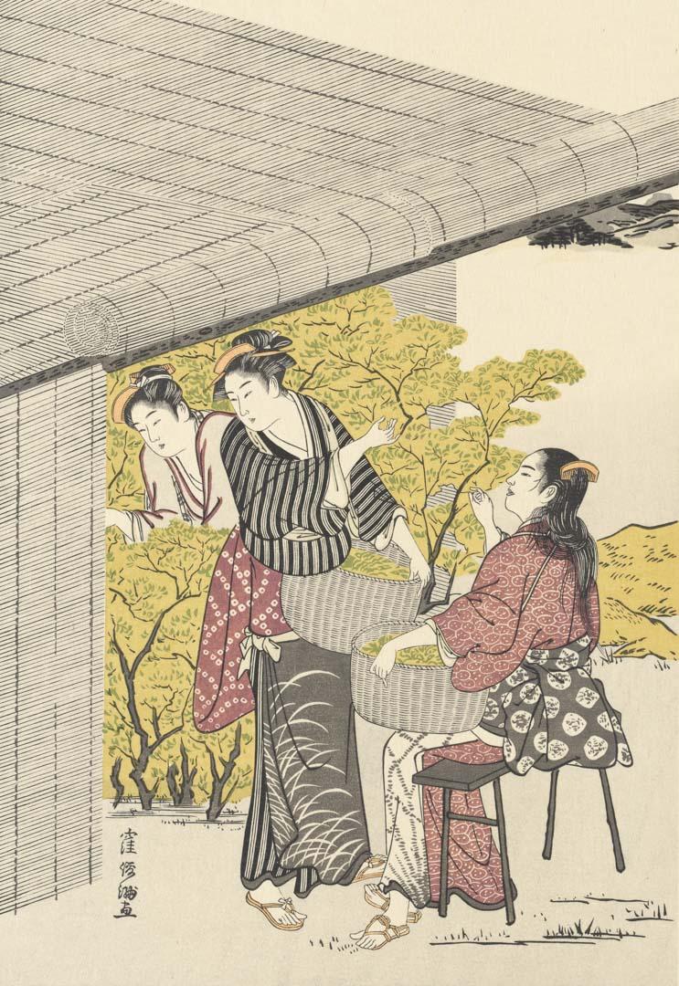 Artwork Tea-picking (no. 18 from a set of twenty-five reprints) this artwork made of Colour woodblock print on paper, created in 1955-01-01