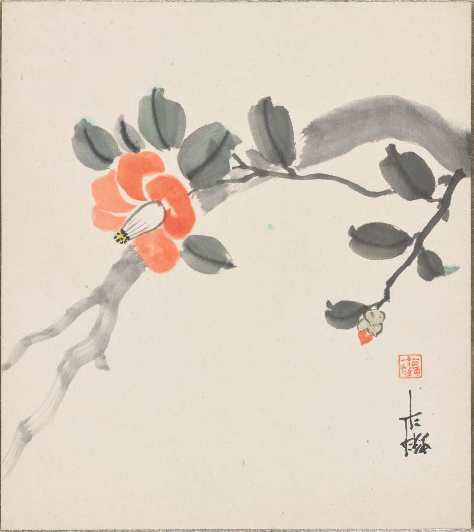 Artwork Shikishi:  (flowering camellia) this artwork made of Watercolour on card, created in 1900-01-01