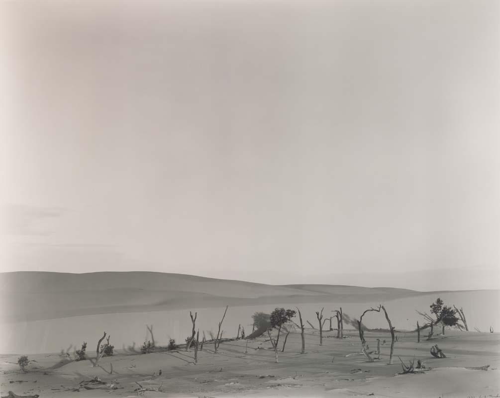 Artwork Island of sand B this artwork made of Gelatin silver photograph on paper, created in 1991-01-01