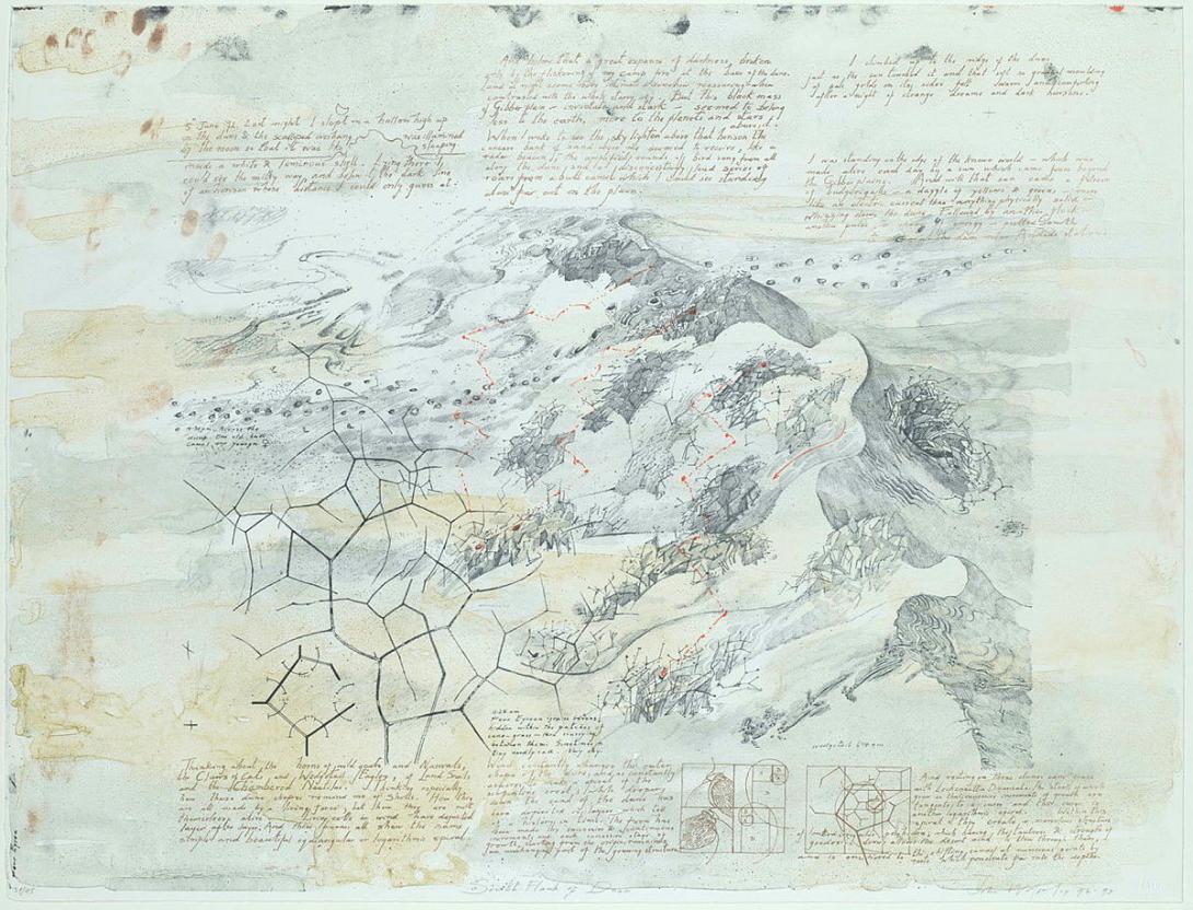 Artwork South flank of dune (from 'The Simpson Desert survey' series) this artwork made of Lithograph on paper, created in 1992-01-01