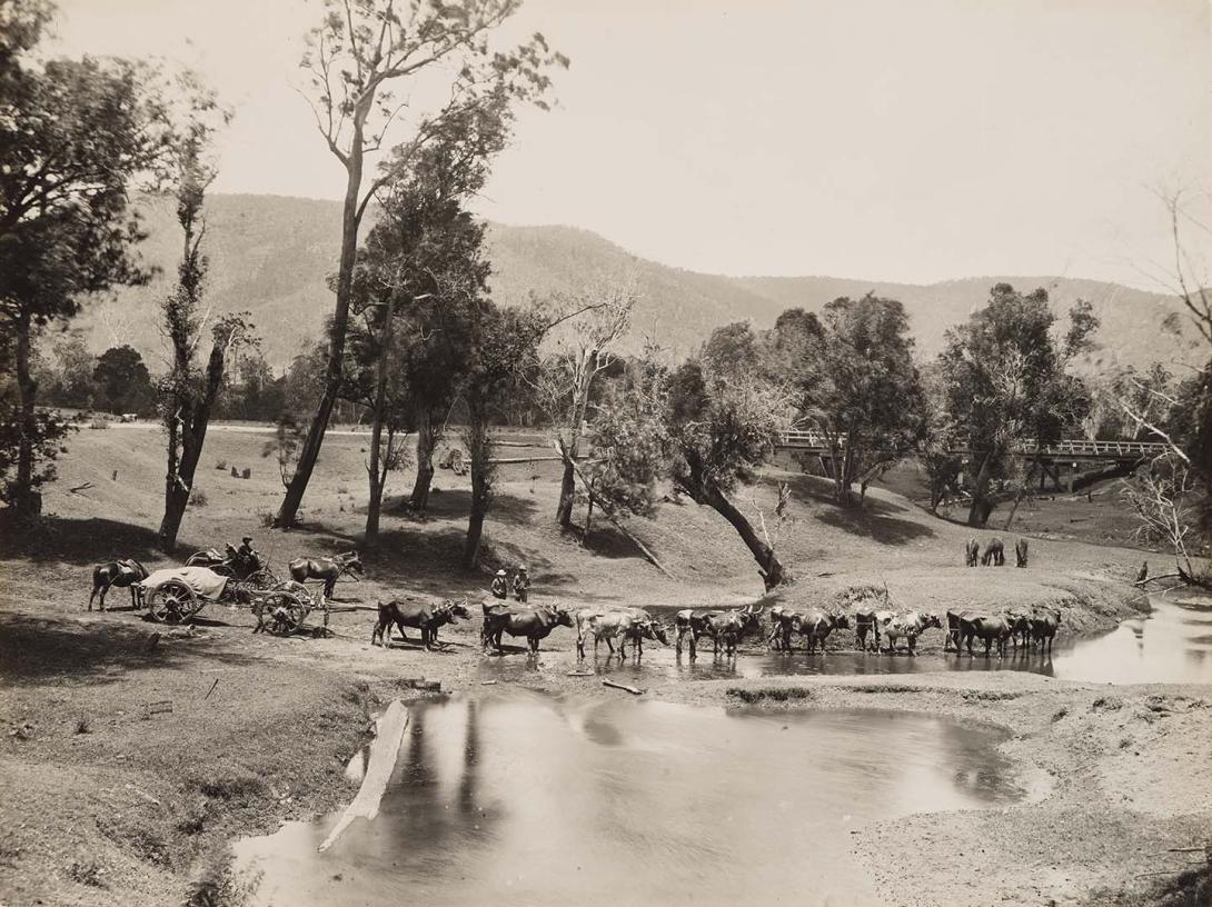 Artwork (Newrum Creek) this artwork made of Gelatin silver photograph on paper, created in 1912-01-01