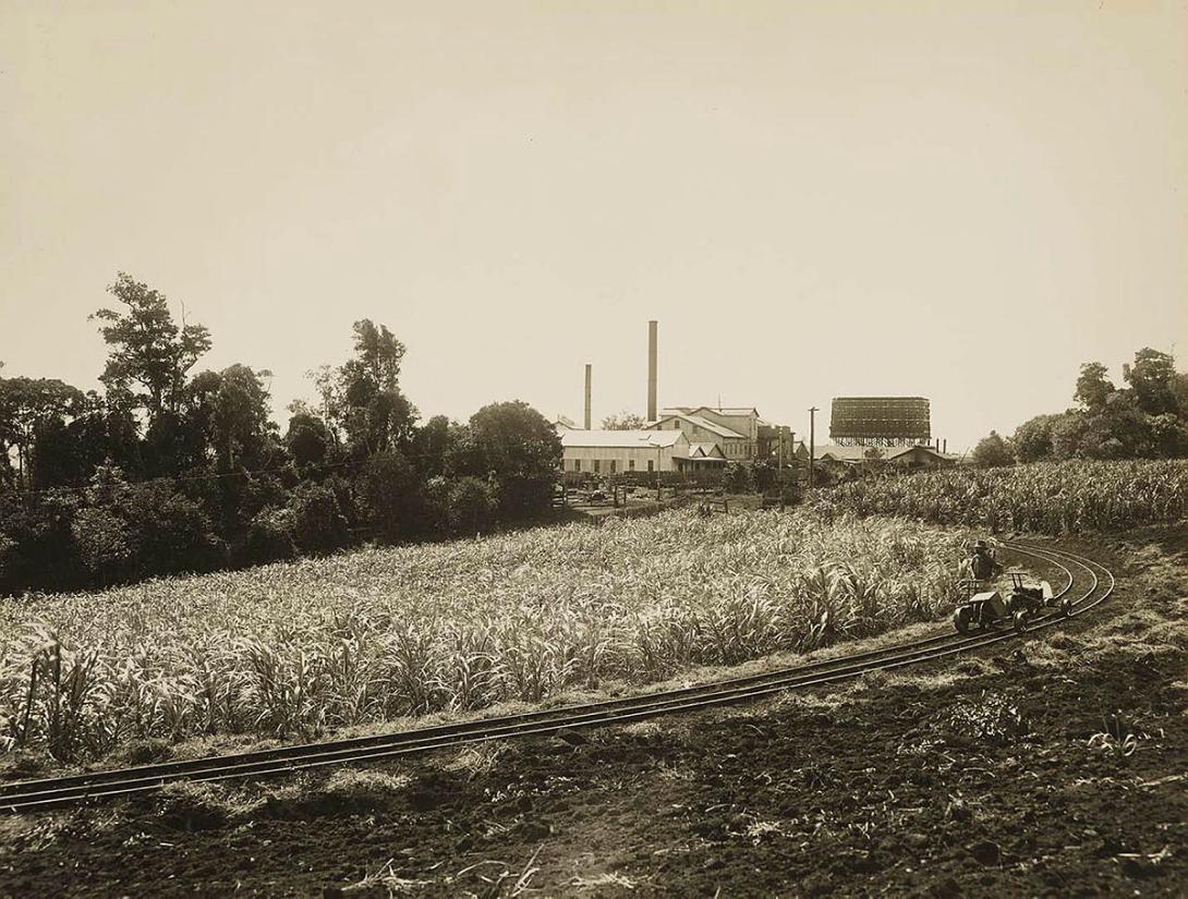 Artwork (C.S.R. Mill, Childers) this artwork made of Gelatin silver photograph on paper, created in 1912-01-01