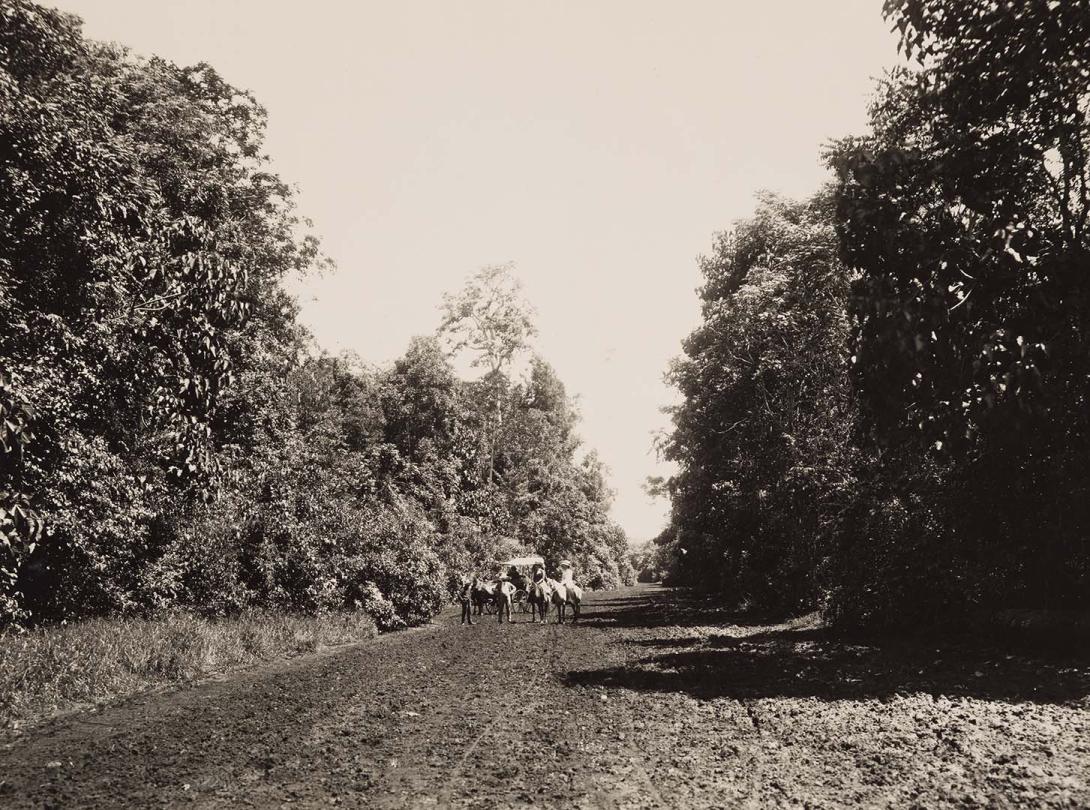 Artwork (Scrub Road, Atherton) this artwork made of Gelatin silver photograph on paper, created in 1912-01-01