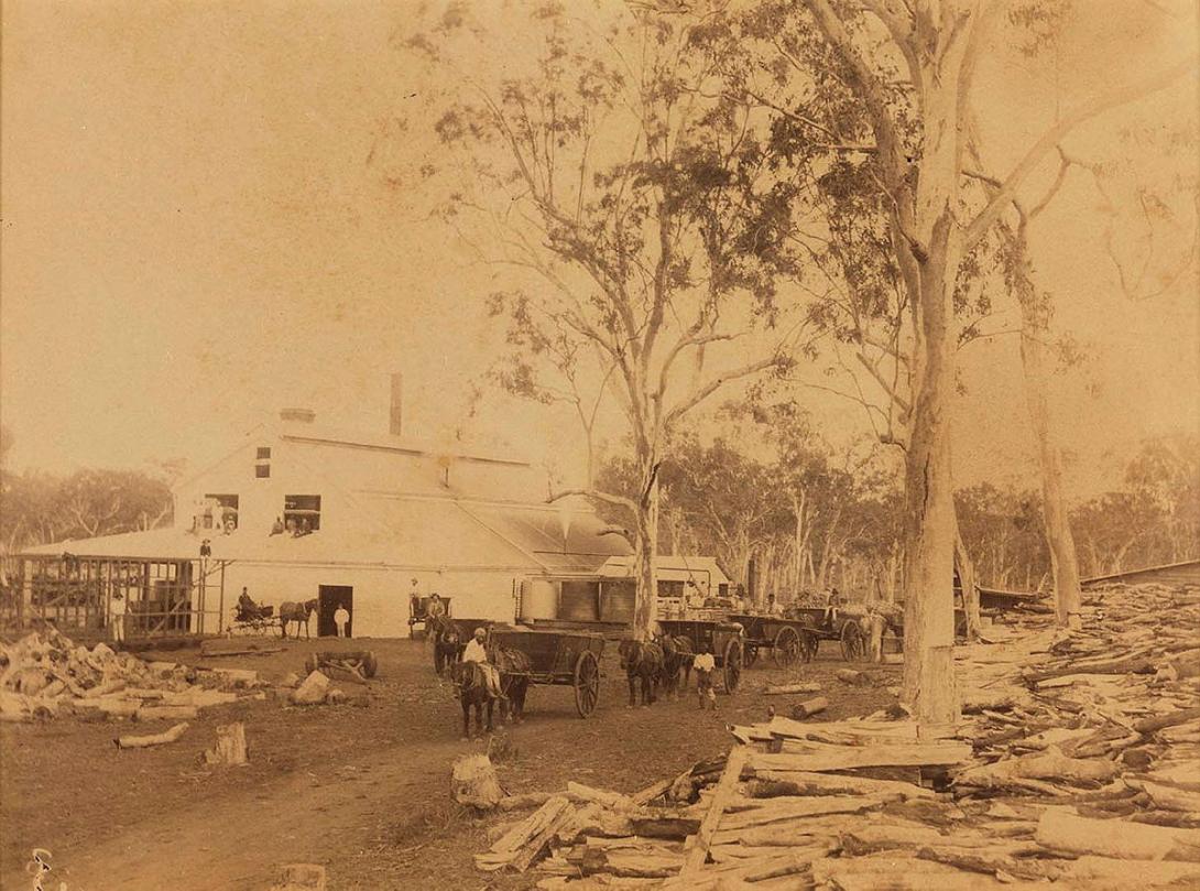 Artwork (Cane crushing mill) this artwork made of Albumen photograph on paper, created in 1880-01-01