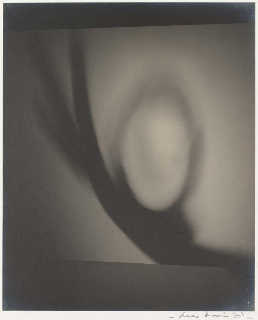 Artwork Untitled rayograph this artwork made of Gelatin silver photograph on paper, created in 1930-01-01