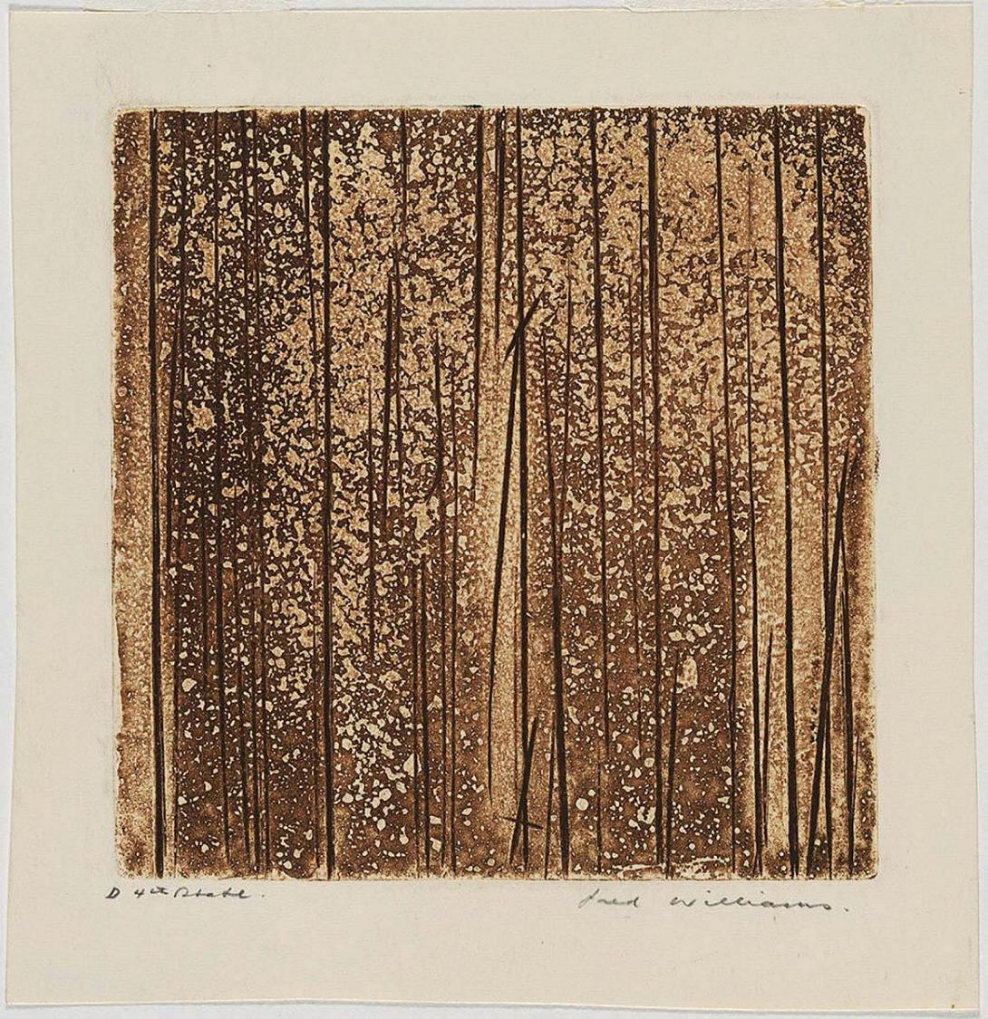 Artwork Sherbrooke Forest no. 2 this artwork made of Engraving and aquatint on paper, created in 1961-01-01