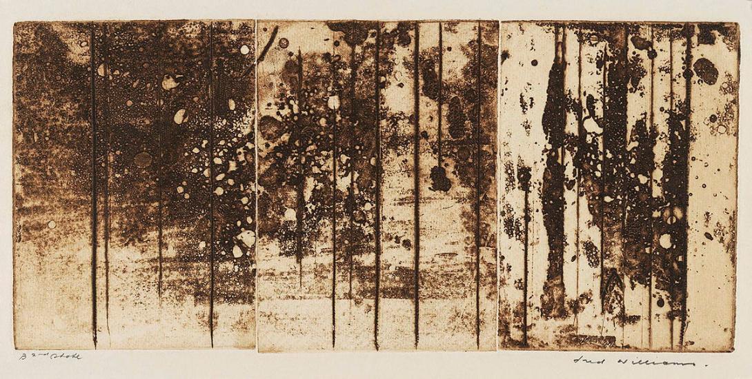 Artwork Landscape triptych no. 2 this artwork made of Aquatint, engraving, drypoint on Kent paper, created in 1962-01-01