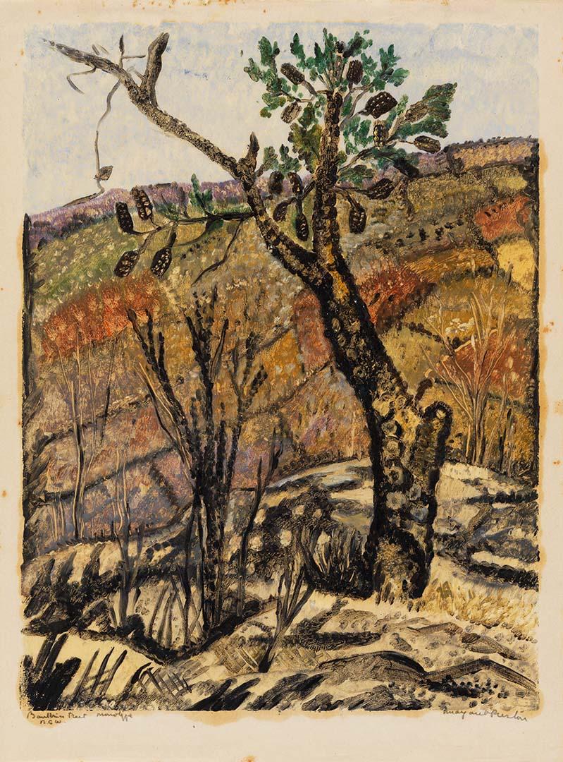 Artwork Banksia tree, NSW this artwork made of Monotype on thin laid Oriental paper, created in 1946-01-01