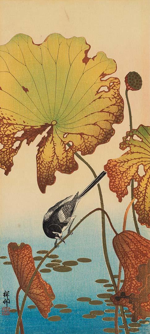 Artwork Bird and water lillies this artwork made of Woodblock print on paper, created in 1926-01-01