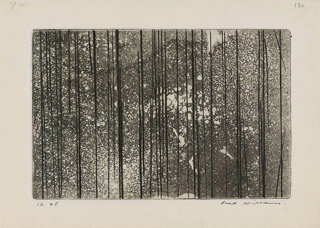 Artwork Sapling forest this artwork made of Aquatint, engraving and drypoint on wove paper, created in 1961-01-01