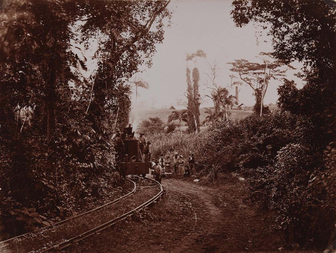 Artwork 1st loco in Mackay (illeg.) in scrub at Pioneer Mountain this artwork made of Print-out photograph on paper, created in 1900-01-01