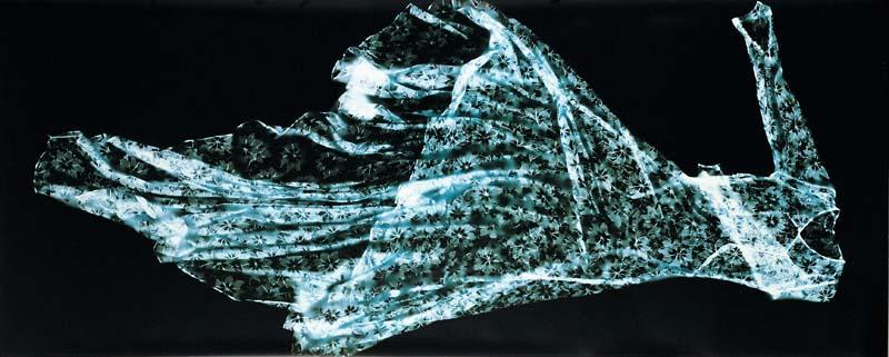 Artwork Untitled (wedding gown blue #2) this artwork made of Colour photogram on paper, created in 2002-01-01