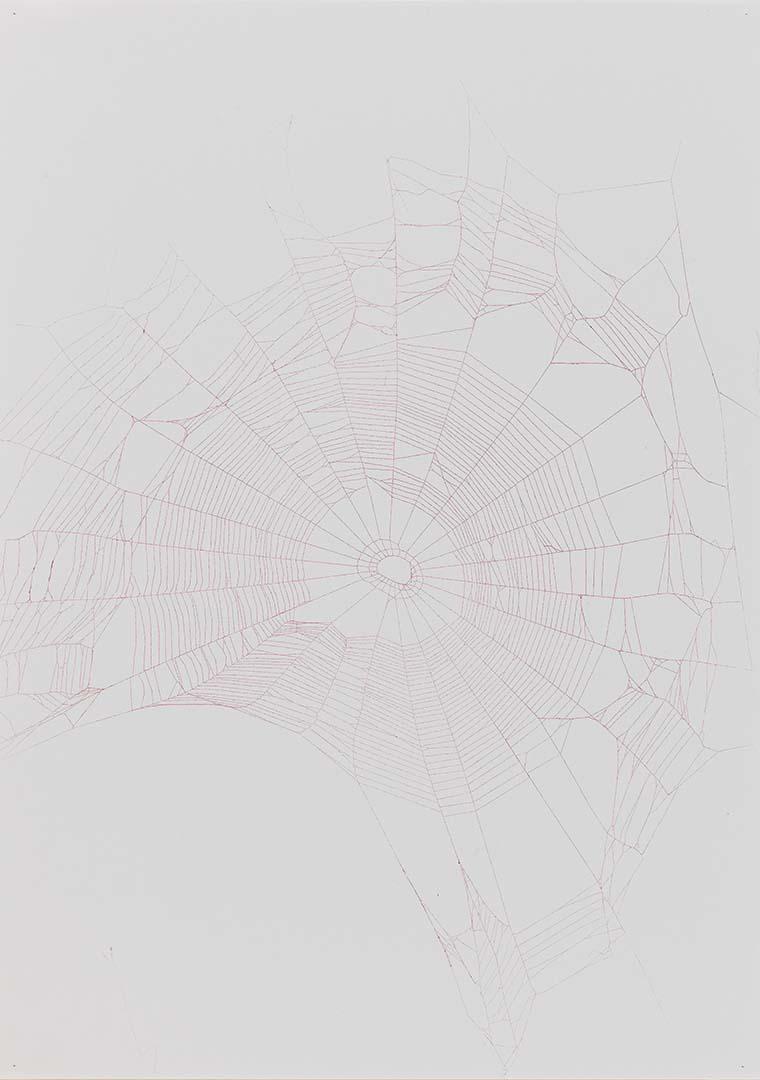 Artwork Untitled (from 'Webs from my garden' series) this artwork made of Enamel on spider web with adhesive and sealant on paper, created in 2004-01-01