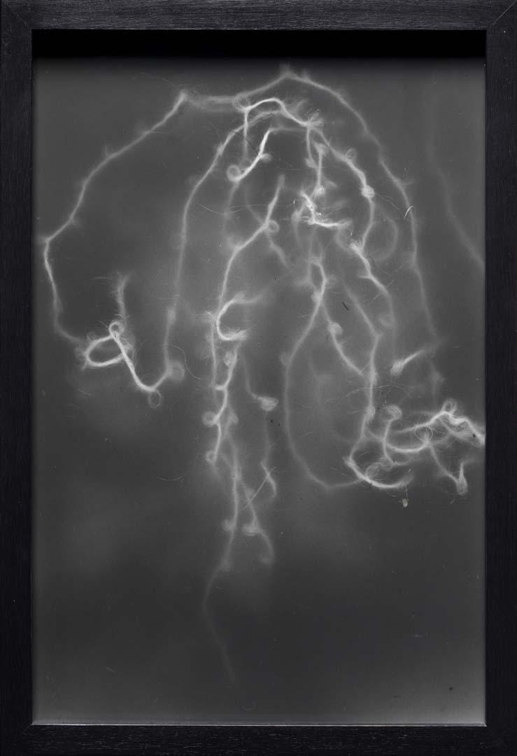 Artwork Tight thread (from 'Pond' series) this artwork made of Gelatin silver photograph on paper, created in 1995-01-01