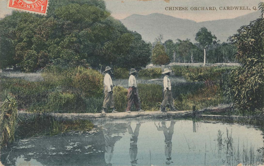 Artwork Chinese orchard, Cardwell, Q this artwork made of (The Edco series 1129)
Postcard: Colour photographic print, created in 1895-01-01