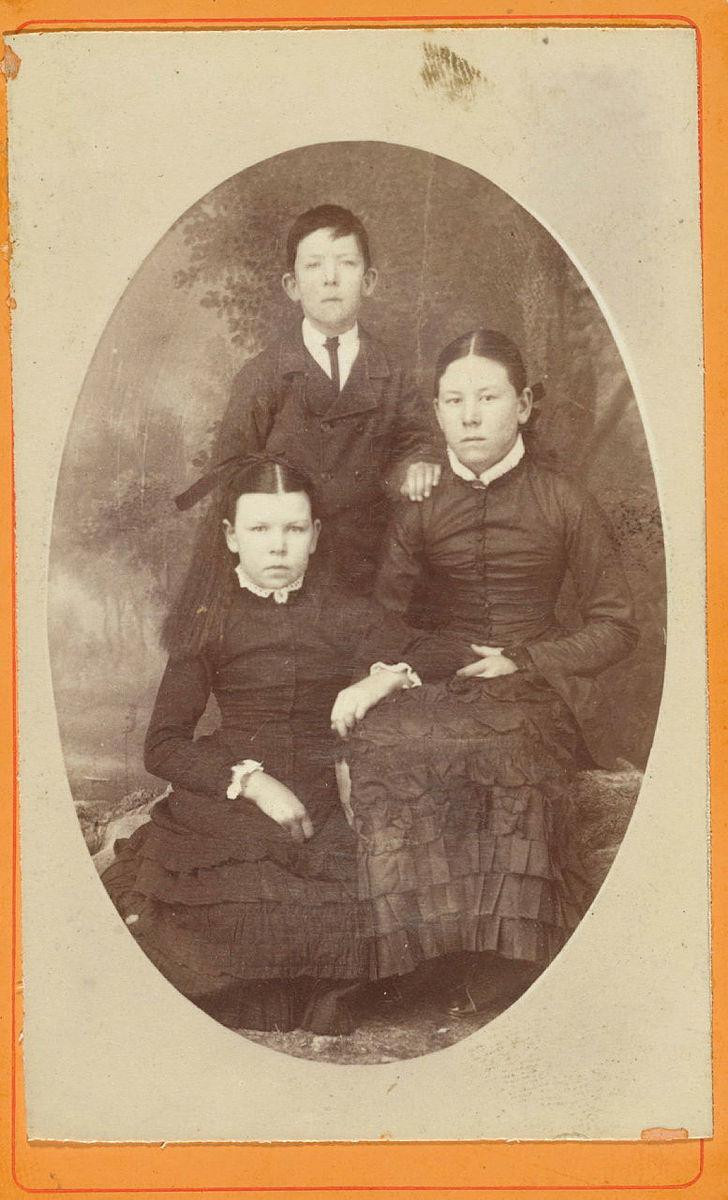 Artwork (Teenage girls and boy) this artwork made of Albumen photograph on paper mounted on card, created in 1880-01-01