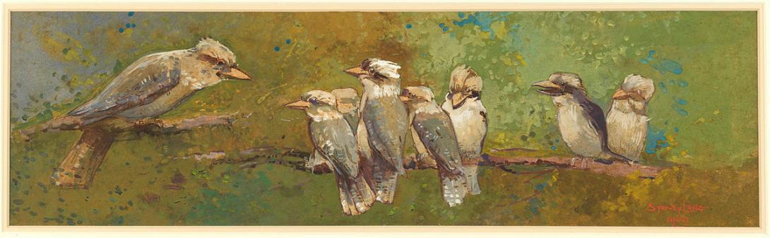 Artwork Kookaburras this artwork made of Watercolour and gouache on strawboard, created in 1909-01-01