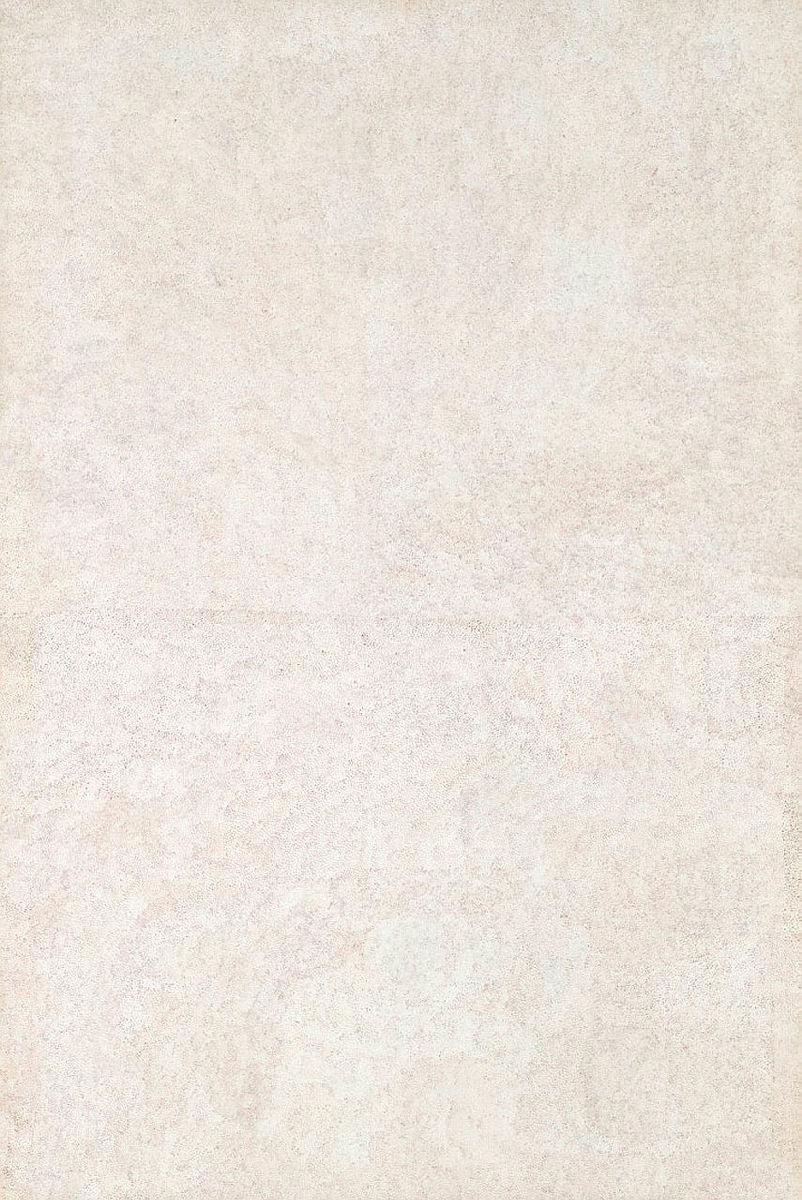 Artwork Wurruku (Sharp-nosed brown shark) this artwork made of Synthetic polymer paint on canvas, created in 2005-01-01