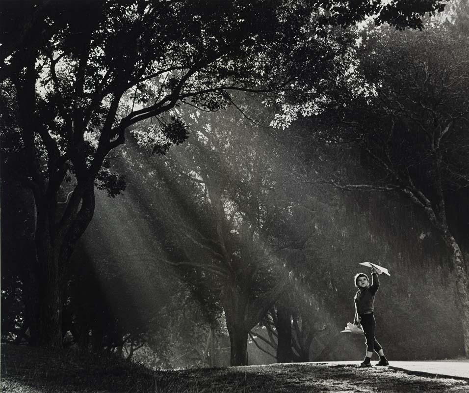 Artwork Early morning flight this artwork made of Gelatin silver photograph on paper, created in 1968-01-01