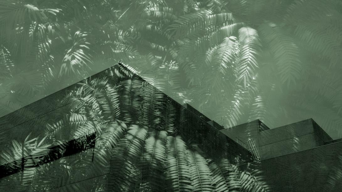 A composite image of light through fern leaves superimposed over a Brutalist-style building.