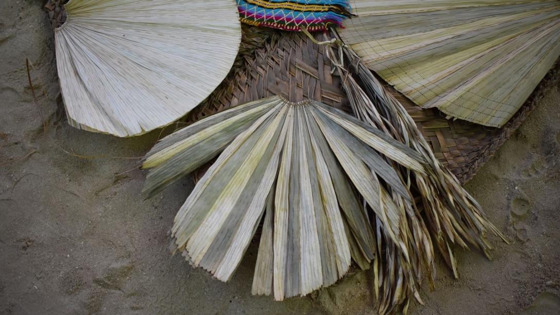 Coconut leaves prepared for a weaving workshop, laid out on the ground.