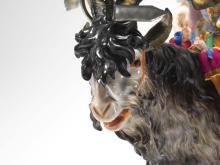 Goat head detail 2